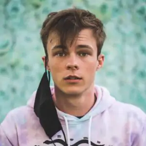 Nicholas Hamilton Biography: Age, Wife, Net Worth, Parents, Wikipedia